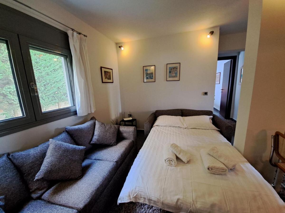 Apartmán Flat With Garden In Ioánnina Exteriér fotografie