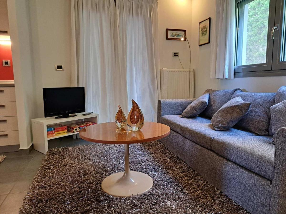 Apartmán Flat With Garden In Ioánnina Exteriér fotografie
